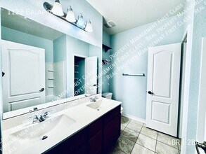 1123 Galapagos in San Antonio, TX - Building Photo - Building Photo