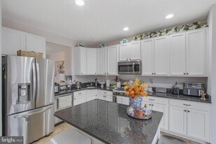 20751 Bridalveil Falls Terrace in Sterling, VA - Building Photo