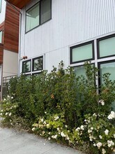 5304 San Pablo Ave in Oakland, CA - Building Photo - Building Photo