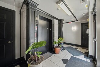 261 S Limestone in Lexington, KY - Building Photo - Building Photo