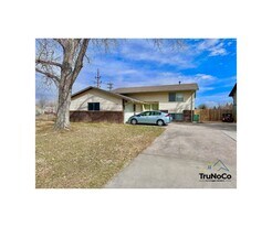 1600 Banyan Dr in Fort Collins, CO - Building Photo