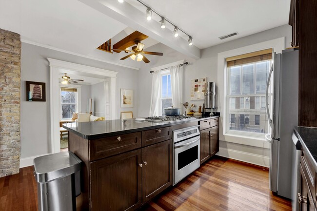 1028 W Wolfram St in Chicago, IL - Building Photo - Building Photo