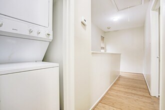305 Avondale St in Houston, TX - Building Photo - Building Photo