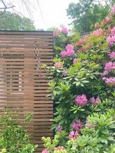 15 Wagon Ln in East Hampton, NY - Building Photo - Building Photo