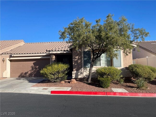 9276 Vervain Ct in Las Vegas, NV - Building Photo - Building Photo