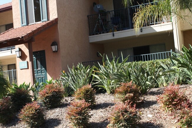 property at 2312 Hosp Way