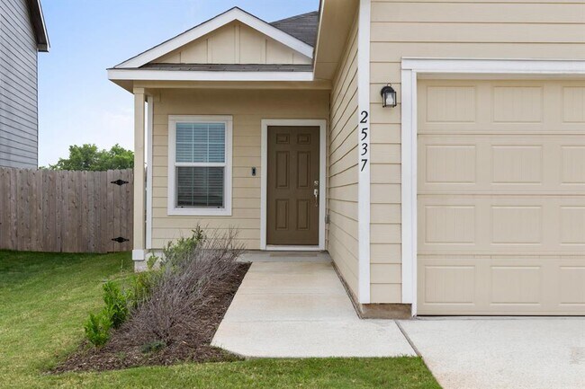 2537 Forgetmenot Ln in Pflugerville, TX - Building Photo - Building Photo