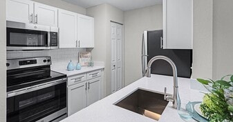 Sabal Palm at Lake Buena Vista Apartment Homes in Orlando, FL - Building Photo