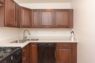 2347 W 24th Pl in Chicago, IL - Building Photo - Building Photo