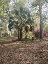 8035 NW 120th St in Reddick, FL - Foto de edificio - Building Photo