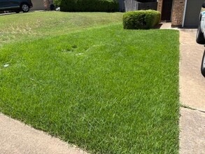 3209 Twinberry Cove in Austin, TX - Building Photo - Building Photo