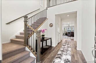 3309 Ireland Moss St in Castle Rock, CO - Building Photo - Building Photo