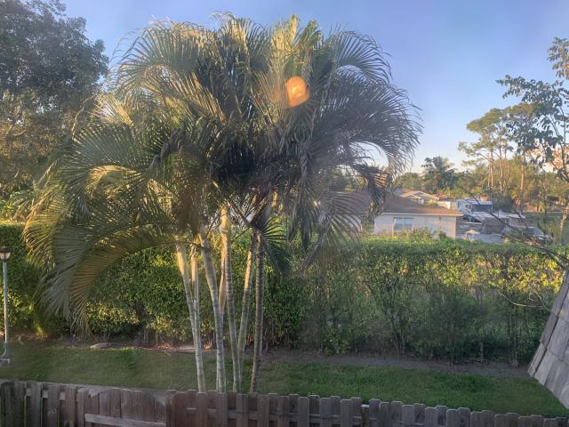 1624 Forest Lakes Cir-Unit -D in West Palm Beach, FL - Building Photo - Building Photo