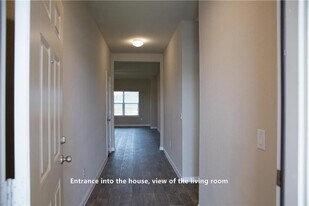 11117 Furrow Hill Dr in Austin, TX - Building Photo