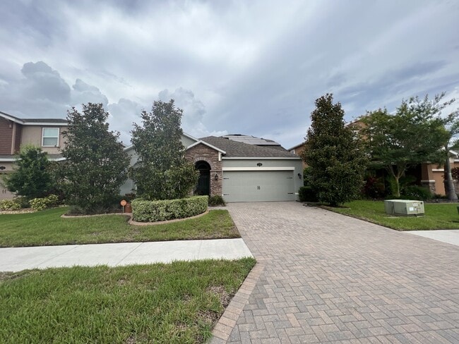 1593 Fox Grape Loop in Lutz, FL - Building Photo - Building Photo