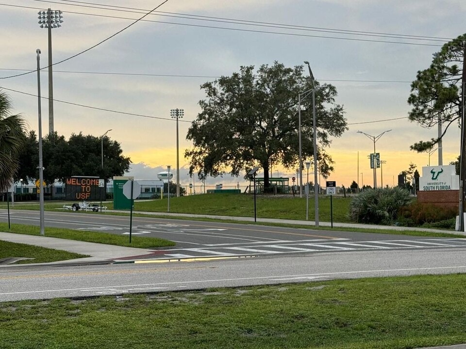 5110 Sunridge Palms Dr in Tampa, FL - Building Photo