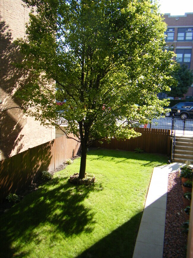 1428 N Greenview Ave, Unit 3 in Chicago, IL - Foto de edificio - Building Photo
