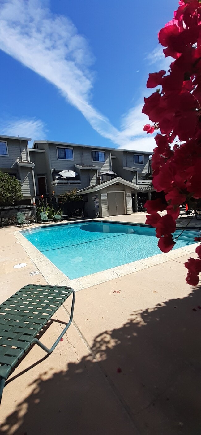 6886 Chantel Ct, Unit 6886 Chantel Court