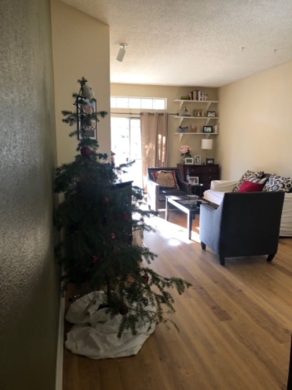 7410 Singing Hills Dr in Boulder, CO - Foto de edificio - Building Photo