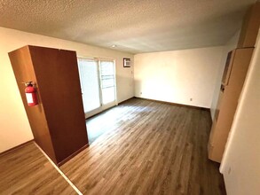 519 S Dodge St in Iowa City, IA - Building Photo - Building Photo