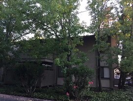 1493 Marchbanks Dr, Unit #4 in Walnut Creek, CA - Building Photo