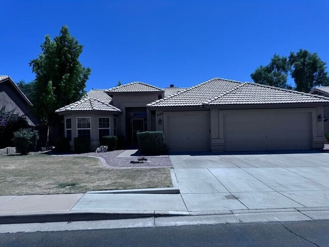 3643 W Shannon St in Chandler, AZ - Building Photo - Building Photo