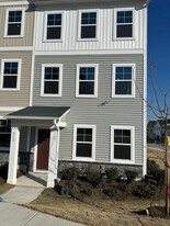 217 Ivy Vine Wy in Clayton, NC - Building Photo - Building Photo