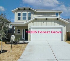 10305 Forest Grove Dr in Austin, TX - Building Photo