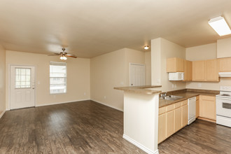 Vida Que Canta Apartments in Mission, TX - Building Photo - Interior Photo