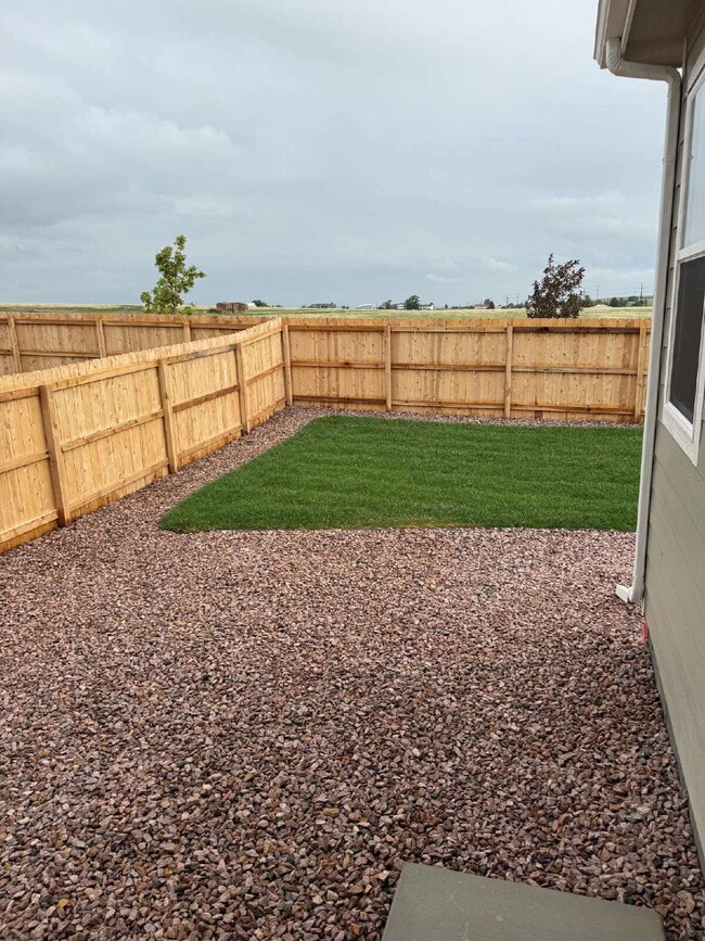 11343 Pikeminnow Pl in Colorado Springs, CO - Building Photo - Building Photo