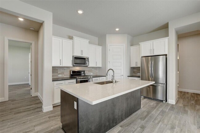 1237 Lucca Dr in Dripping Springs, TX - Building Photo - Building Photo