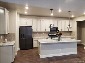 473 Brailsford St in Castle Pines, CO - Foto de edificio - Building Photo