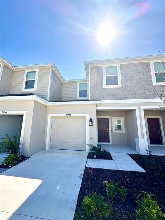 34238 Polacca Ln in Wesley Chapel, FL - Building Photo