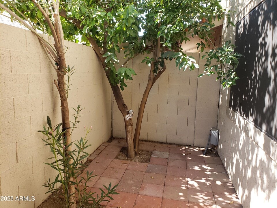1115 N 84th Pl in Scottsdale, AZ - Building Photo
