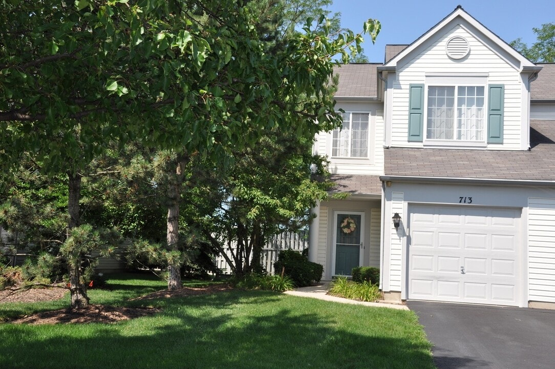 713 Blossom Ct in Naperville, IL - Building Photo