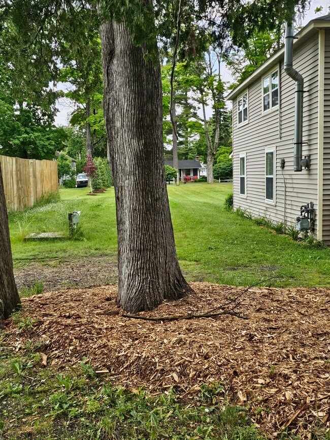 property at 3423 Poplar St