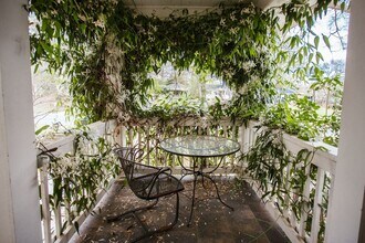 284 The Plaza in Athens, GA - Building Photo - Building Photo