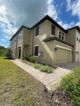 2506 Stapleford Pl in Wesley Chapel, FL - Building Photo - Building Photo