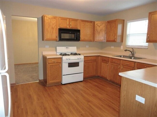 property at 1408 Lasser Dr