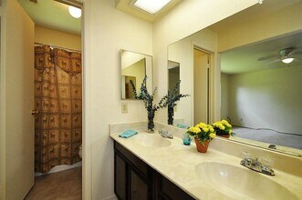 13706 Towneway Dr in Sugar Land, TX - Building Photo - Building Photo