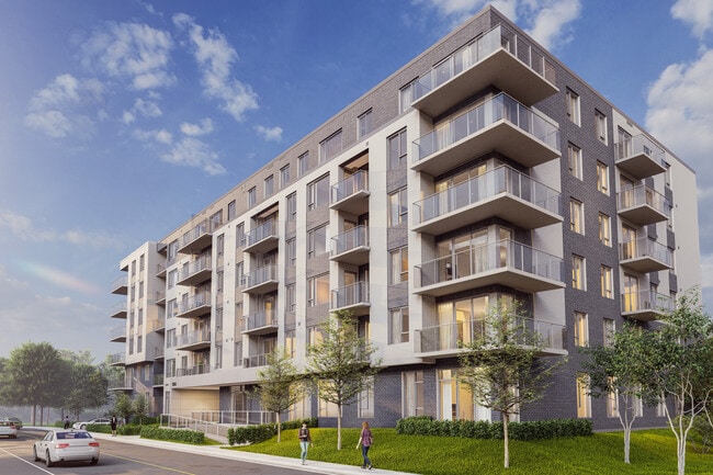 Elora MTL