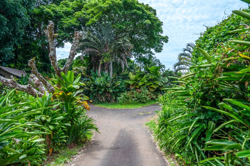 81-6467-6467 Hawai?i Belt Rd in Kealakekua, HI - Building Photo