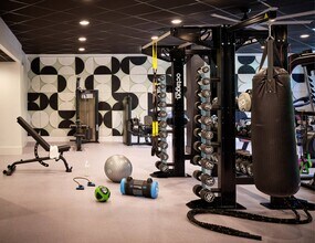 The Maggie in Raleigh, NC - Building Photo - Building Photo