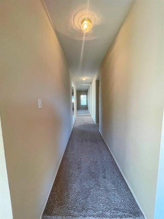 209 Katy B Ln in Bastrop, TX - Building Photo - Building Photo