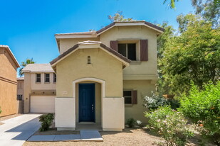 21147 E Tierra Grande Dr in Queen Creek, AZ - Building Photo