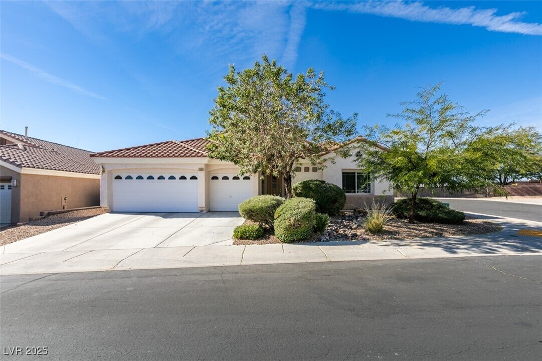 2255 Double Tree Ave in Henderson, NV - Building Photo