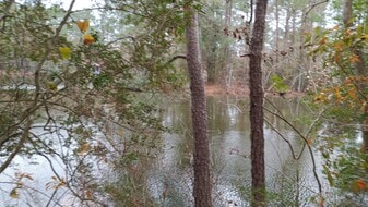 11468 Underwood St in Willis, TX - Building Photo