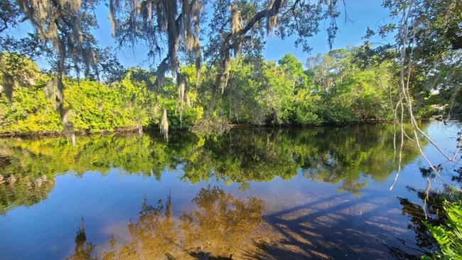 2500 Bee Ridge Rd in Sarasota, FL - Building Photo - Building Photo