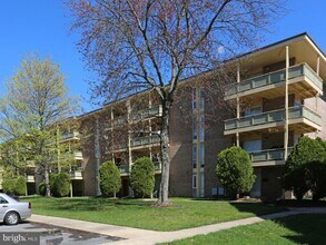 7210 Donnell Pl in Forestville, MD - Building Photo - Building Photo