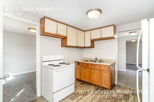 870 Cook Ave E in St. Paul, MN - Building Photo